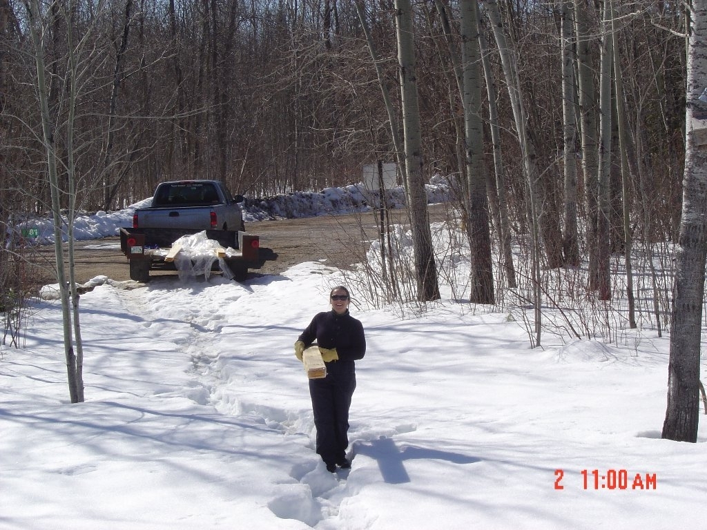 hauling wood